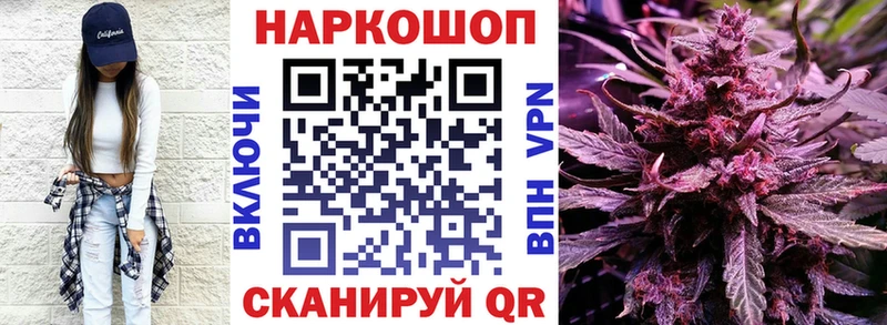 APVP Уяр